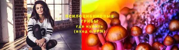 скорость Аркадак