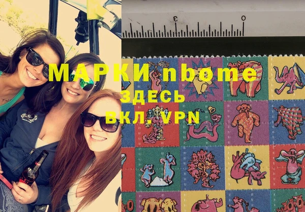 шишки Армянск