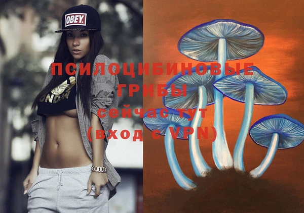 шишки Армянск