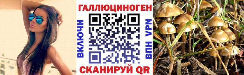 Псилоцибиновые грибы мухоморы Павловск