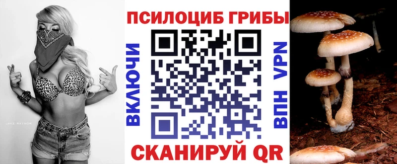 гидра ссылка мориарти наркотические препараты Павловск Галлюциногенные грибы Psilocybine cubensis где продают наркотики